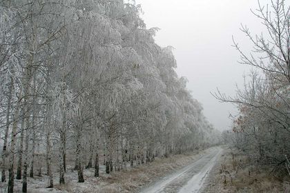 El invierno ruso